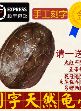 手工刻字天然真乌龟壳真龟甲文玩手把件六爻铜钱易经64卦算挂摇卦
