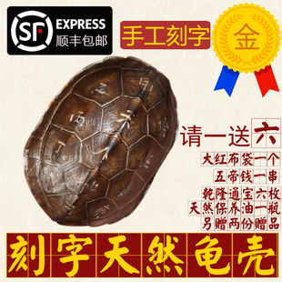 手工刻字天然真乌龟壳真龟甲文玩手把件六爻铜钱易经64卦算挂摇卦
