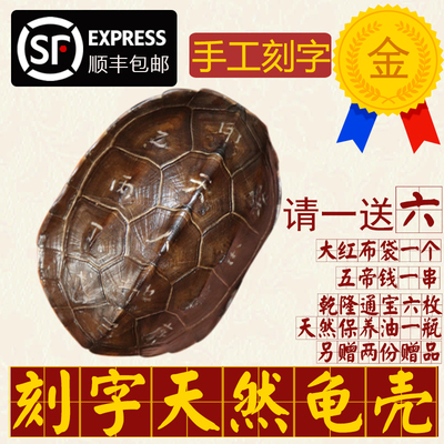 手工刻字天然真乌龟壳真龟甲文玩手把件六爻铜钱易经64卦算挂摇卦