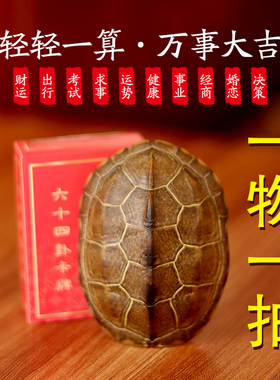 一物一拍天然真乌龟壳龟甲文玩手把件铜钱六爻64卦算挂卦牌卡摇卦