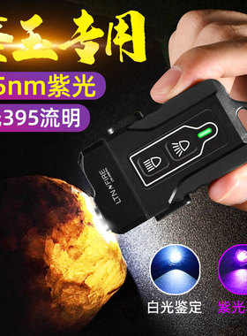 镭特宁6008照玉石强光手电筒365nm紫光灯鉴定古玉验钞Type-C充电