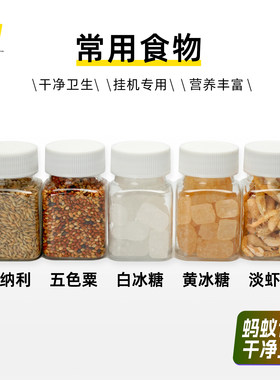 昆虫食物蚂蚁喂食蚂蚁空间站无盐