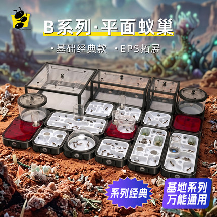 蚂蚁空间站B系列平面巢蚂蚁生态箱无限拓展设计工匠收获蚁原生