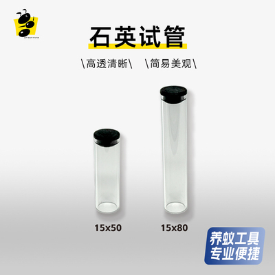 蚂蚁试管蚂蚁空间站堵水新后巢