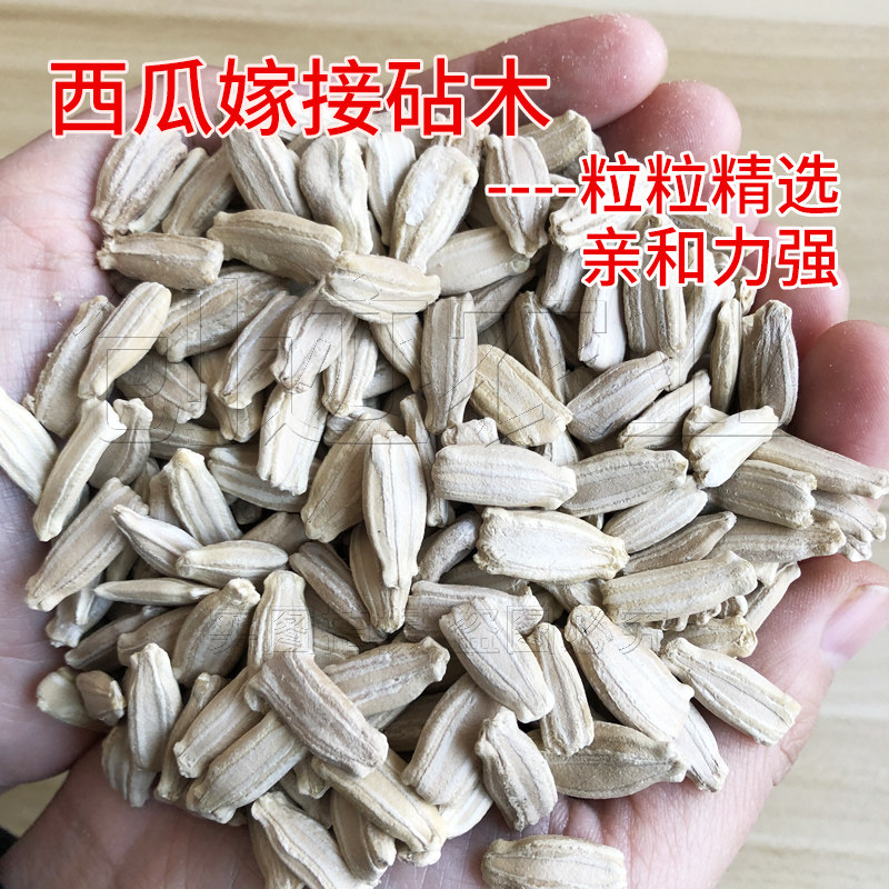 葫芦种子嫁接西瓜砧木专用种籽根系好抗病增产嫁接甜瓜用葫芦种孑,鲜花速递/花卉仿真/绿植园艺,家庭园艺种子,淘宝优惠券,粉丝福利购,淘宝优惠卷