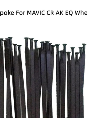 台湾 Pillar协达扁辐条MAVIC CR AK EQ 黑色直头 P标大扁破风辐条