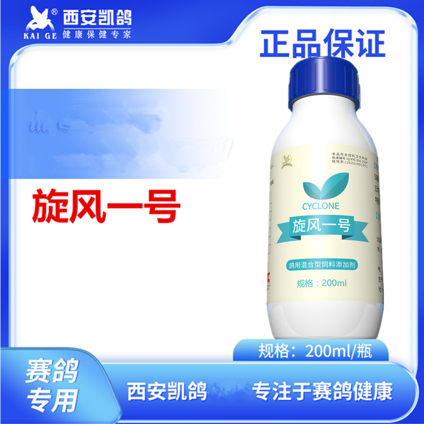 凯鸽旋风一号赛鸽子念株君白点