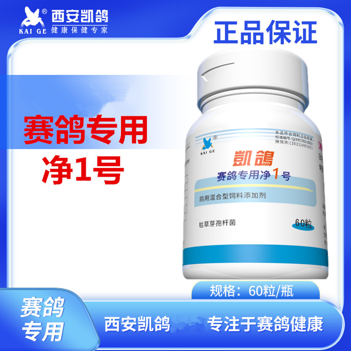 凯鸽净1号赛鸽子球调理
