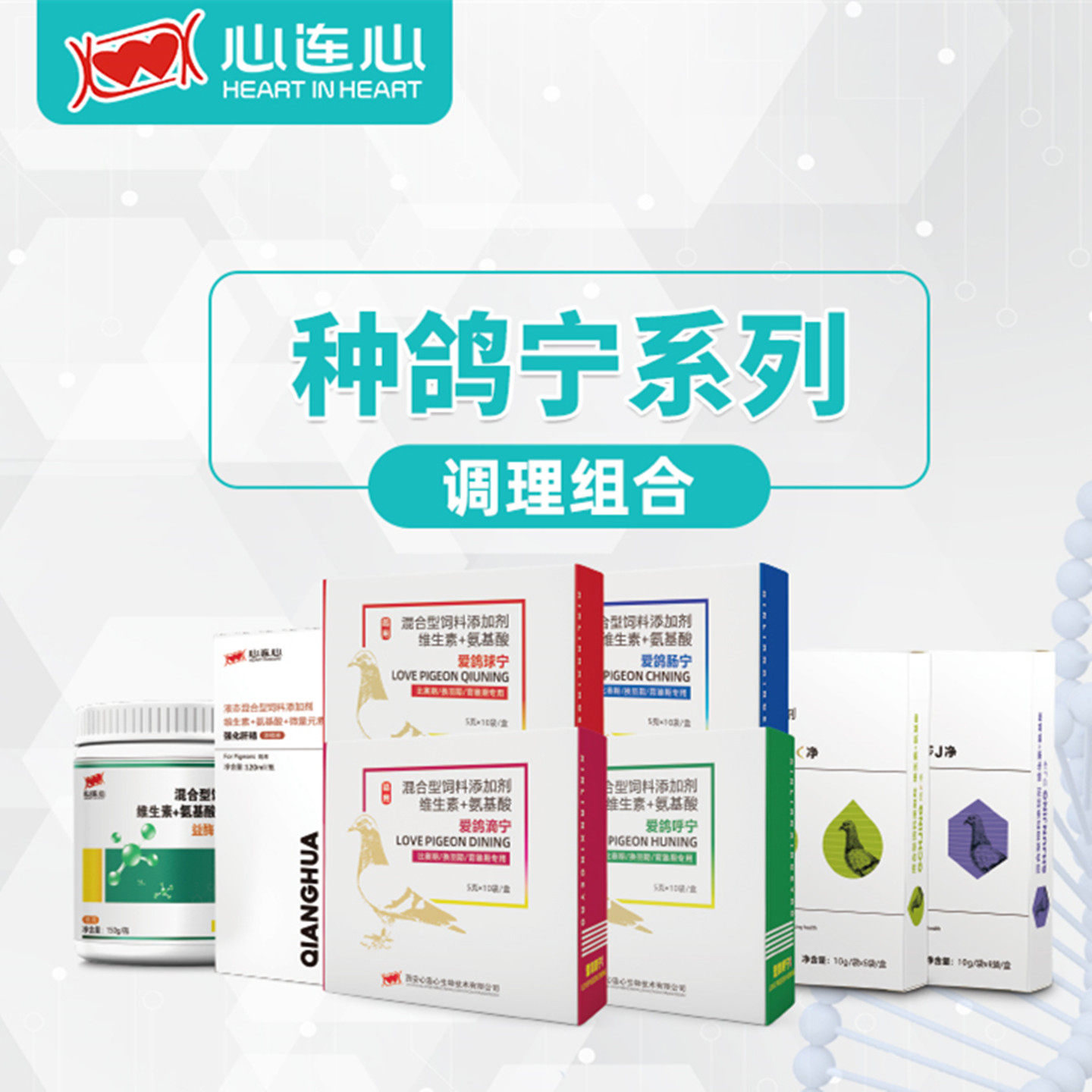 心连心种鸽宁系列套餐8种产品