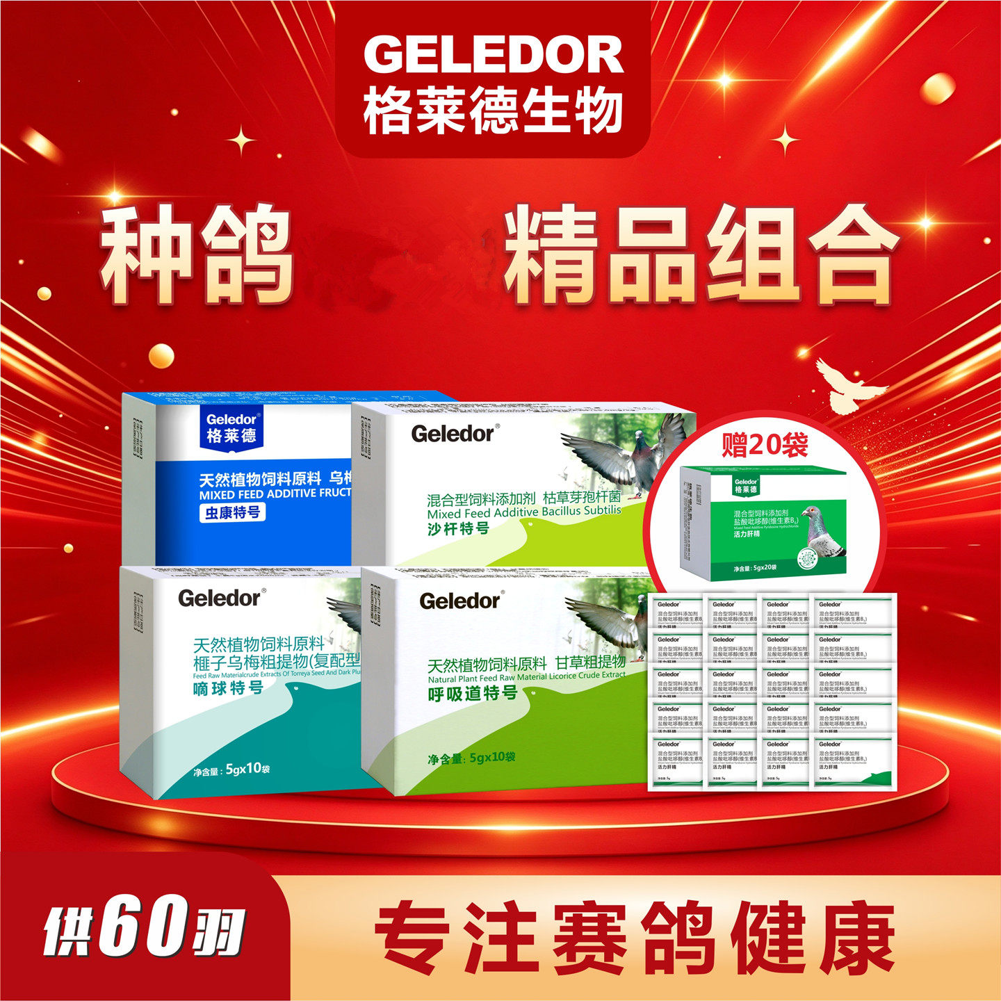 格莱德赛鸽种鸽调理套餐60羽使用