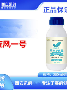 凯鸽旋风一号赛鸽子念株君白点