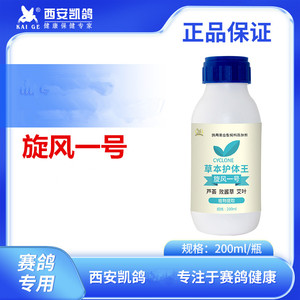 凯鸽旋风一号赛鸽念株君口黄白点