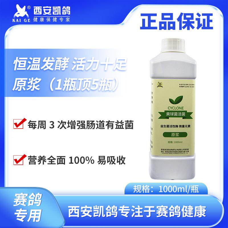 凯鸽粪球菌活菌赛鸽鹦鹉肠道活菌