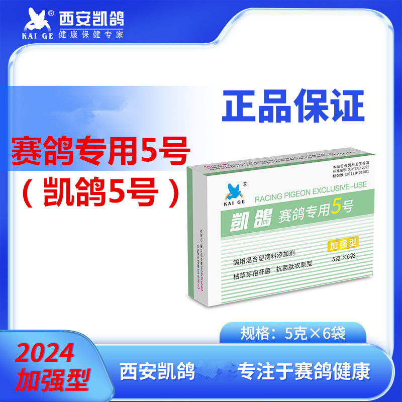 凯鸽赛鸽专用5号赛鸽子眼流泪