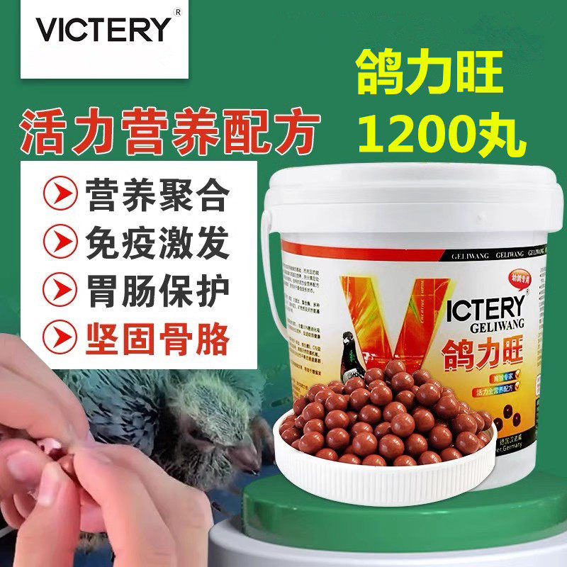 汉诺威鸽力旺信鸽用品赛鸽幼鸽丸育雏宝育雏丸幼鸽宝营养丸非鸽药
