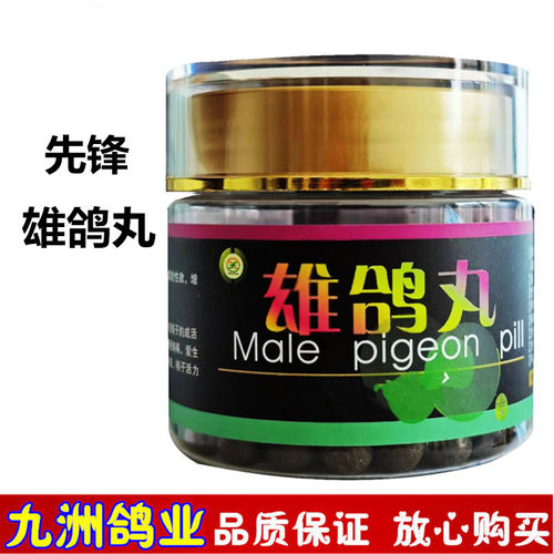 不受精无精蛋信鸽用品先锋雄鸽丸