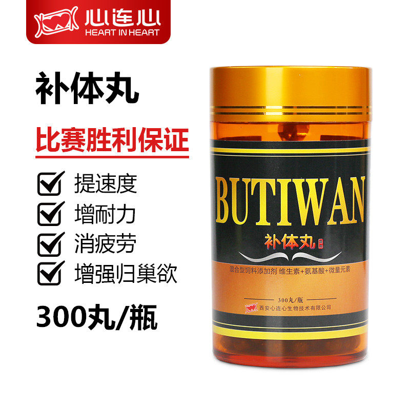 心连心补体丸信鸽用品赛鸽子比赛调理赛后补体能比赛夺冠非鸽子药