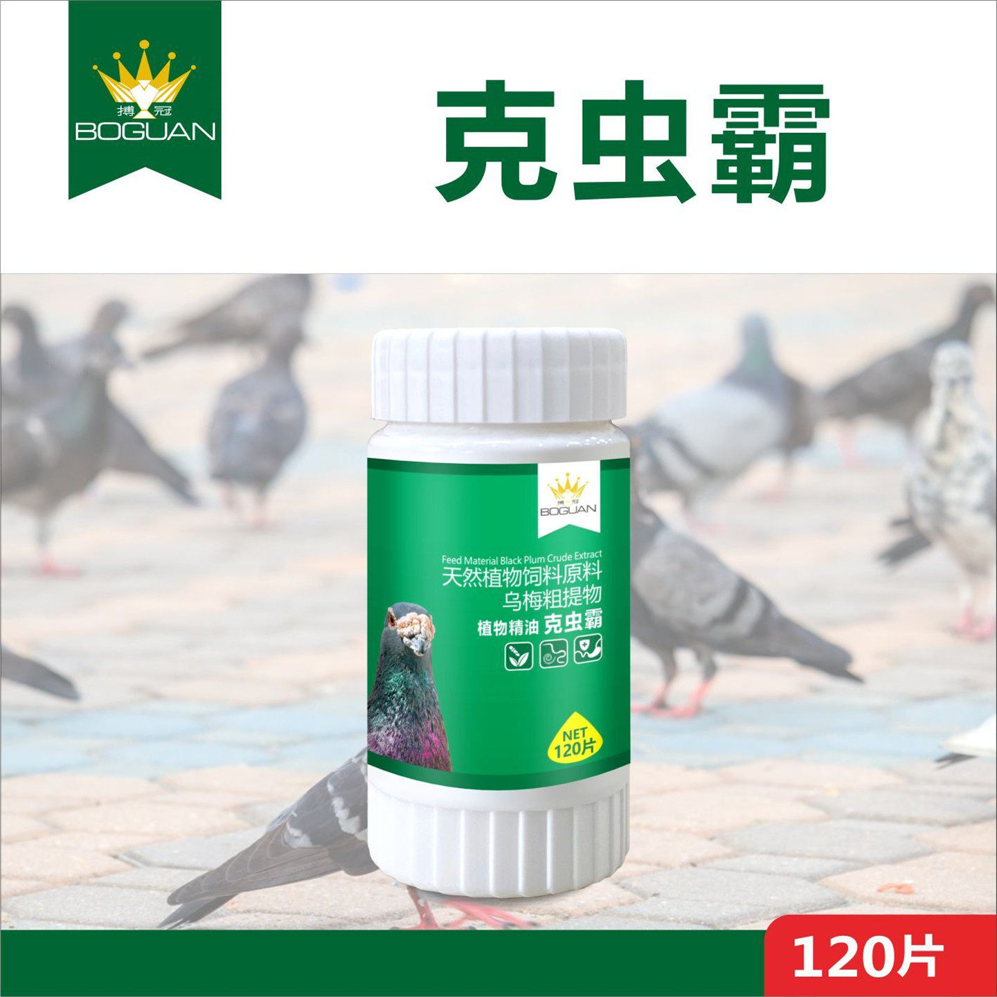 搏冠克虫霸片赛鸽种鸽幼鸽子保健