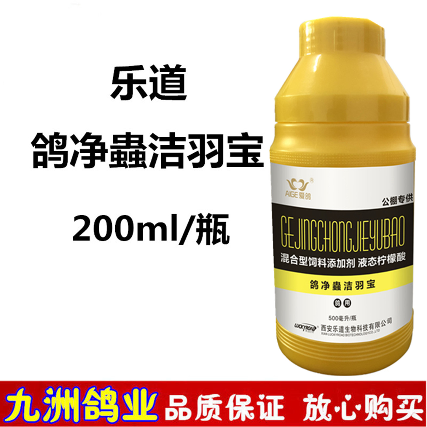 乐道爱鸽鸽净蟲洁羽宝