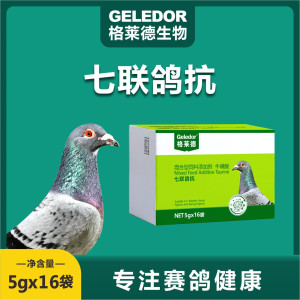 格莱德七联鸽抗粉赛鸽饮水保健