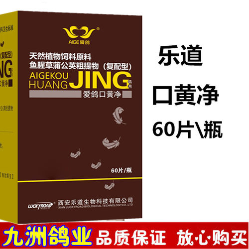乐道爱鸽口黄净赛鸽毛滴口黄白点