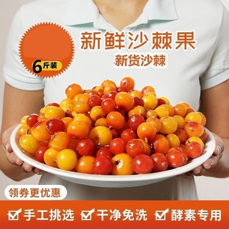 山西特产吕梁山天然新鲜野特级挑选沙棘果鲜果做酵素榨汁6斤,传统滋补营养品,沙棘/沙棘原浆,淘宝优惠券,粉丝福利购,淘宝优惠卷