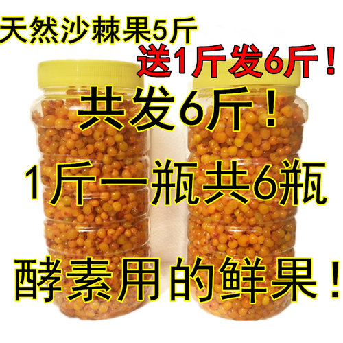 新鲜包邮山西吕梁正品特级沙棘果