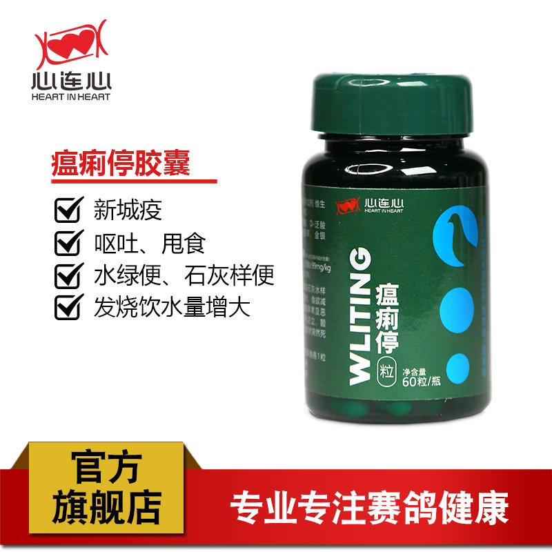 心连心鸽子大全水便绿便歪脖歪头呕吐炸毛鹦鹉鸽子通用瘟痢停胶囊
