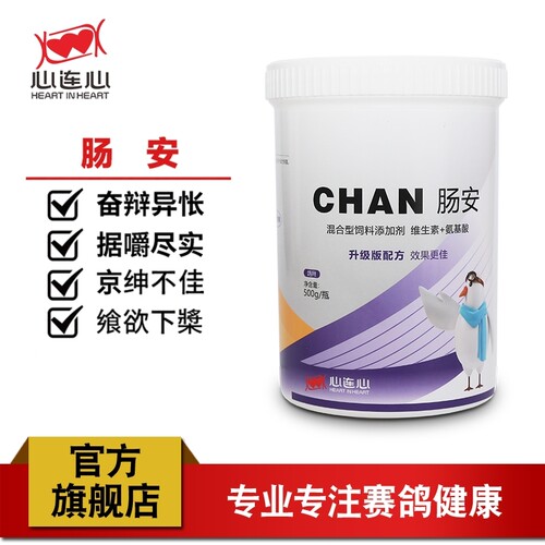 心连心肠安公棚鸽子信鸽