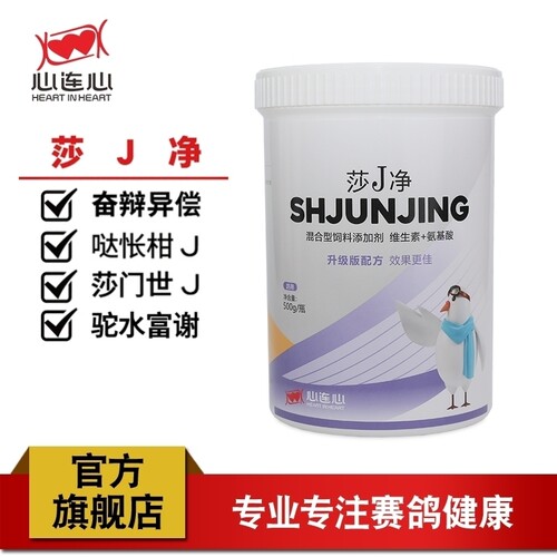 心连心莎J净公棚大包装鸽子