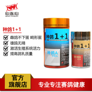 心连心鸽药赛鸽信鸽子营养用品用药幼鸽生长营养丸种鸽1+1套装