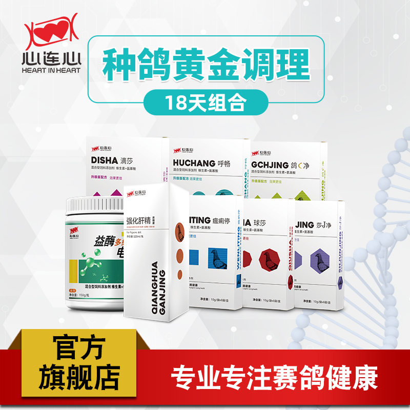 心连心大全种鸽调理鸽子