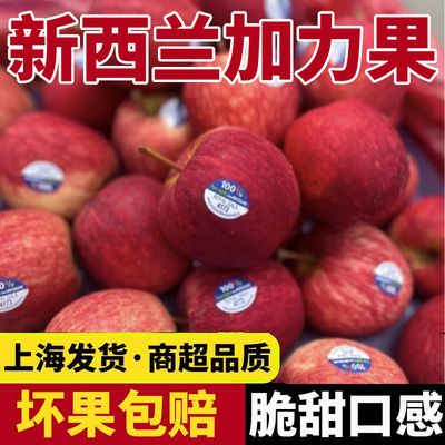 新西兰加力果新鲜苹果当季水果脆甜口感丹烁红玫瑰牛顿苹果皇后