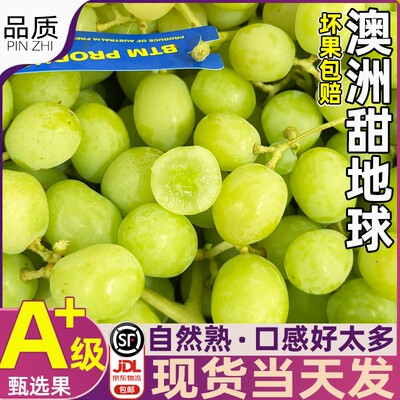 现货澳洲甜地球青提脆甜无籽提子进口秋天脆葡萄新鲜水果顺丰