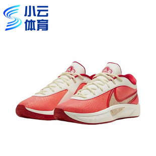 耐克Nike Giannis Freak字母哥6代中帮男子实战篮球鞋HQ4079-100