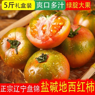 正宗辽宁盘锦盐碱地西红柿铁皮草莓柿子番茄新鲜特产现摘顺丰包邮