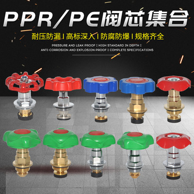 PPRPE截止阀阀芯升降式截止阀闸阀阀芯20 4分25 6分水管管件配件