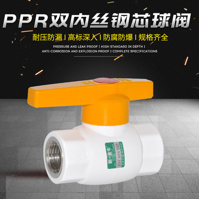 ppr双内丝钢芯阀门4分接头