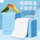 宠物鹦鹉鸟用尿垫纸尿不湿一次性加厚隔尿片龙猫仓鼠托盘笼屎垫