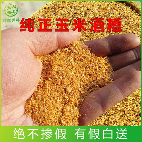 酒糟玉米干酒精糟DDGS饲料原料