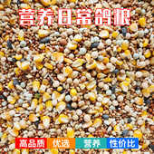 50斤精品鸽粮有玉米鸟食饲料鸽子幼鸽观赏鸽幼鸽粮食鸽子料便宜