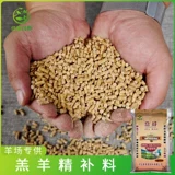 Надежда бренд для ягненка. Материал. Небольшой ягненка Альпака Перегадка и отколо