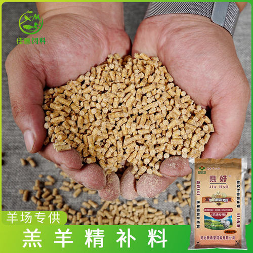 希望羔羊小羊开口料羊羔专用饲料