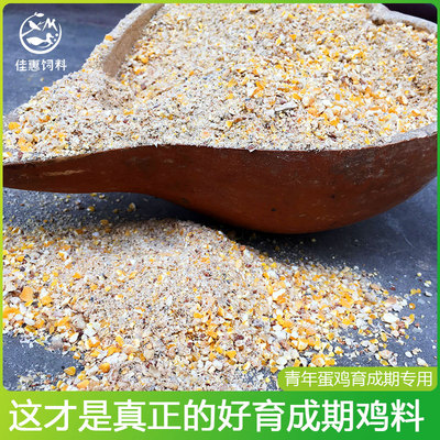 鸡饲料育成期中大鸡玉米碎粒补钙