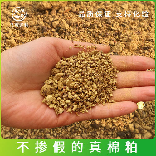 棉粕棉籽粕 动物饲料原料高蛋白杂粕钓鱼打窝实验用 鱼饵有机肥料 - 封面
