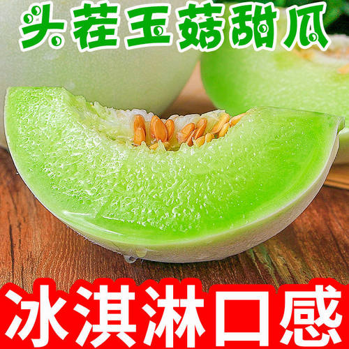 山东潍坊现摘玉菇甜瓜脆甜多汁