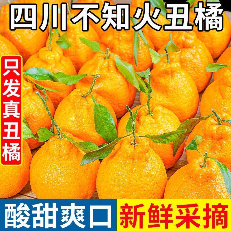 正宗四川不知火丑橘新鲜橘子当季水果桔子孕妇甜柑橘整箱现摘包邮,水产肉类/新鲜蔬果/熟食,桔子,淘宝优惠券,粉丝福利购,淘宝优惠卷