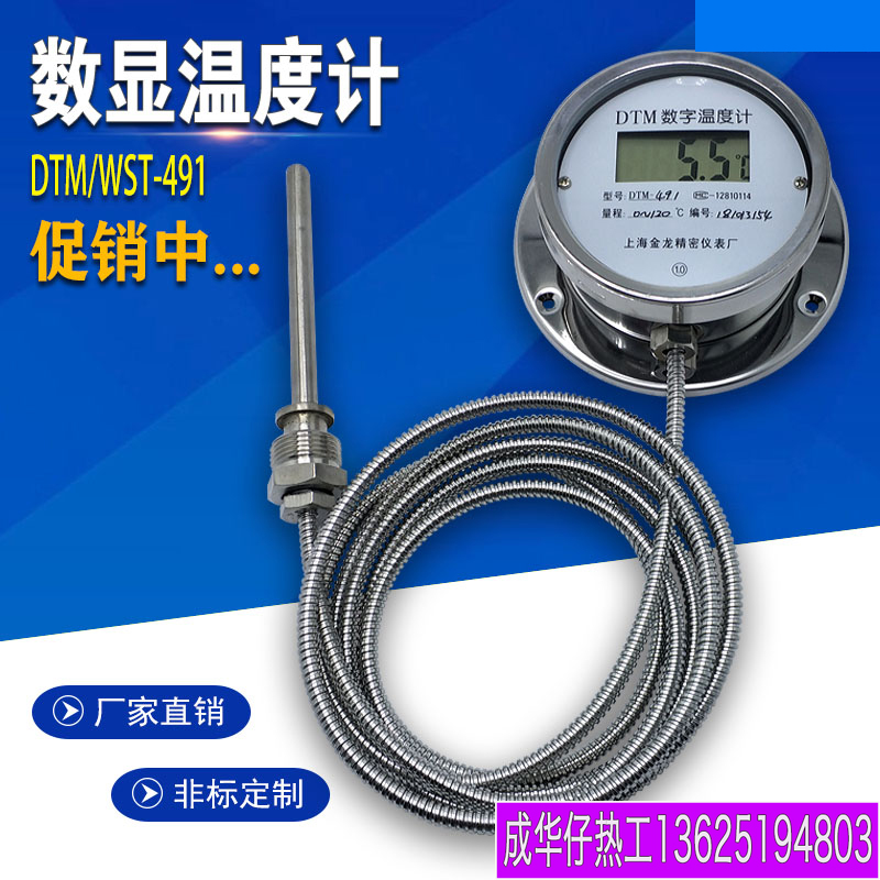 数显温度计WST DTM491数字高精度耐腐蚀防水带探头带软管 工业表|msdalam kategori perkakasan/alat, instrumen, termometer - dari Buy2taobao.com untuk memberikan perkhidmatan ejen Taobao profesional membeli