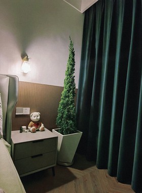 圣诞树苗 龙柏苗 松树苗四季常 塔松树苗 圣诞树型