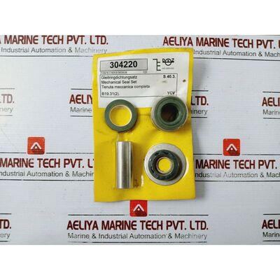 DVZ 304220 Mechanical Seal Set C182538